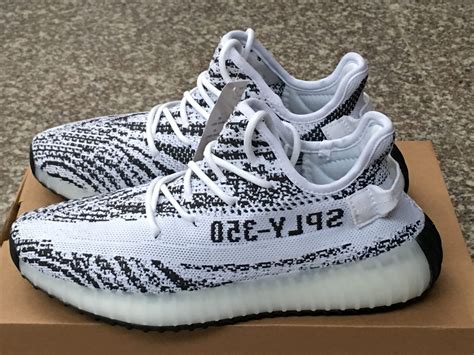 yeezy zebra fit pic